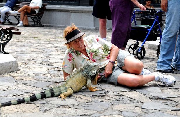 Classic Ecuador Tour 8D - 7N