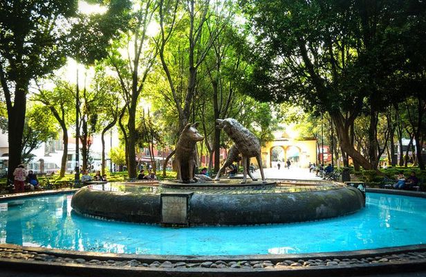 Private City Tour in Frida Kahlo, Coyoacan, and Xochimilco 