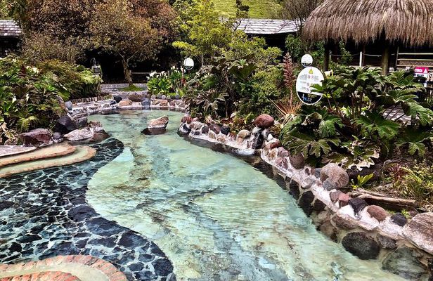 Papallacta Hot Springs & Guango Birding Reserve Private Tour