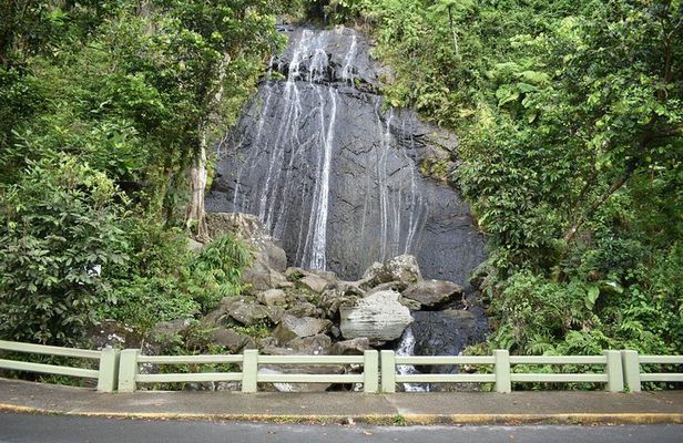 El Yunque Rainforest Guided Day Tour from San Juan