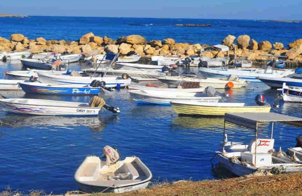 Guided Small-Group Tour to Tripoli and Batroun with Lunch