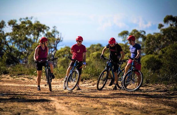 Mountain bike blue mountains sale