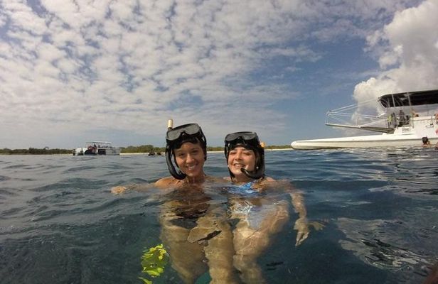Catalina Island+Snorkeling