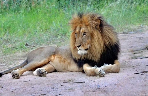 6 Days Budget Camping Tanzania Safari Highlights