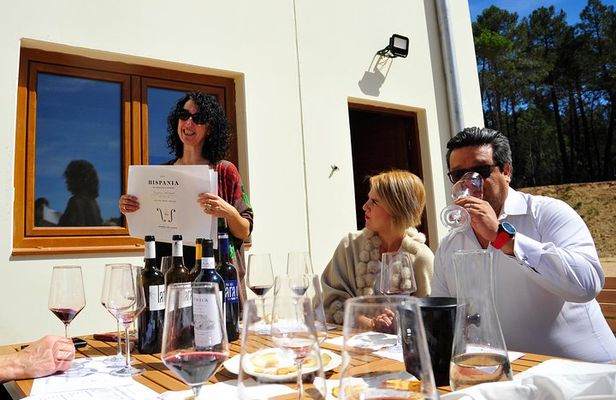 Ribera del Duero Wineries Guided Tour & Wine Tasting from Madrid