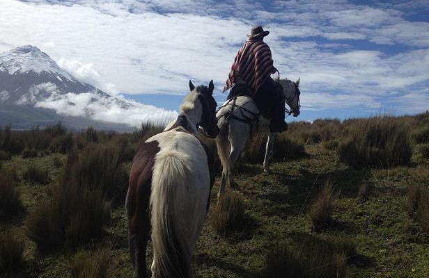 6 Days: Quito, Otavalo, Amazon, Tungurahua, Quilotoa, Cotopaxi...