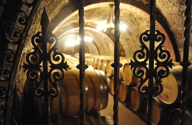 Ribera del Duero Wineries Guided Tour & Wine Tasting from Madrid