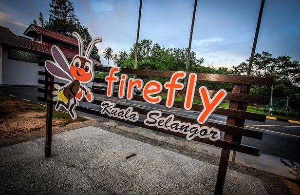 Kuala Selangor Firefly Park & Batu Caves Tour