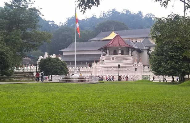 Kandy Day Tour From Colombo