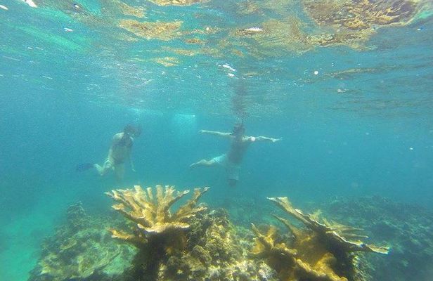 Snorkeling on The Caribbean side of Panama