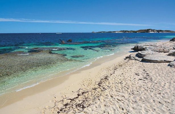 Rottnest Island Bayseeker Tour