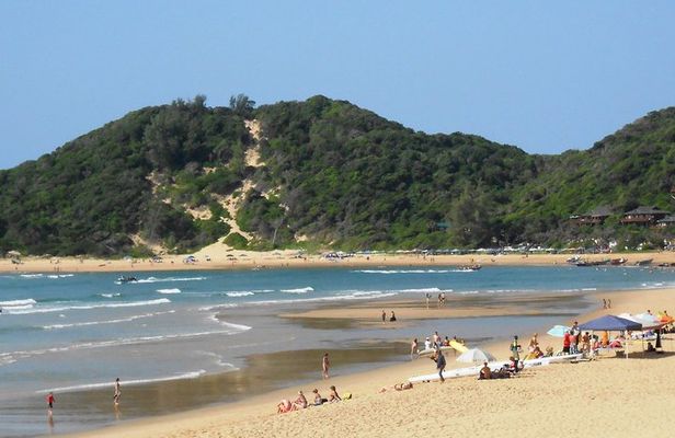 Day Trip to Ponta de Ouro Beach /Dolphin Swim+Snorkel+Whale Watch