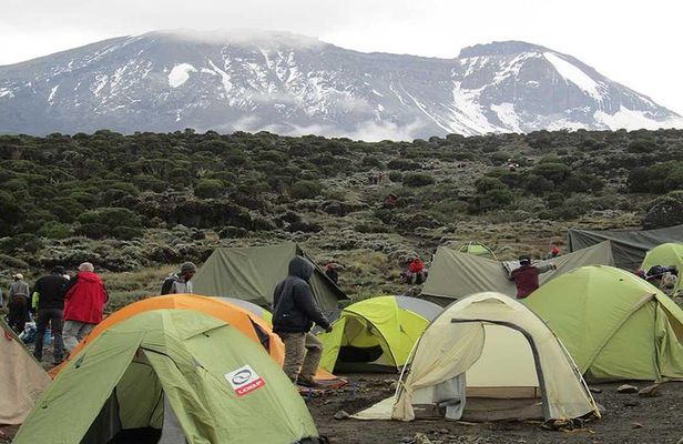 Mount Kilimanjaro climbing,7 days Lemosho Route.