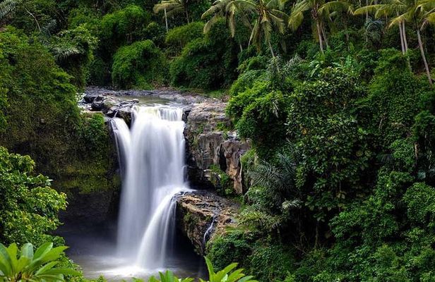 Ubud Waterfall Tour