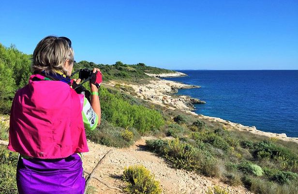 Kamenjak Peninsula Bike Tour and Optional Wine Tasting from Pula