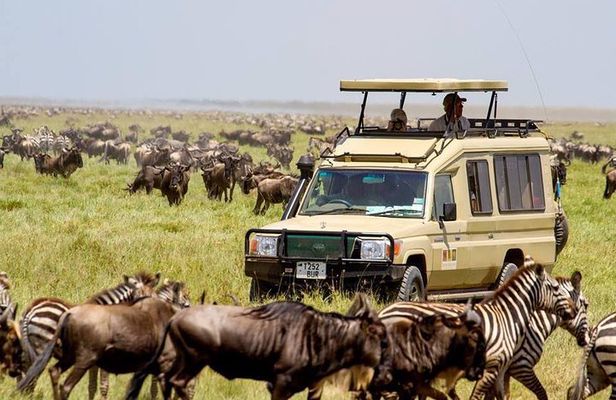 6 Days Budget Tanzania Camping Safari