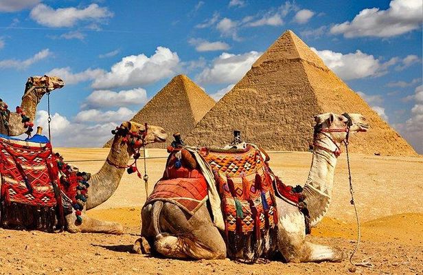 Full Day Tour to Pyramids of Giza, Saqqara Step Pyramids & Sound and Light Show