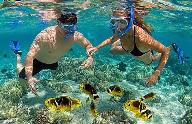 Pink Beach Lombok Snorkeling Tour