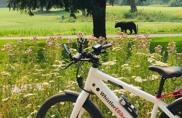 eBike Adventure in Whistler