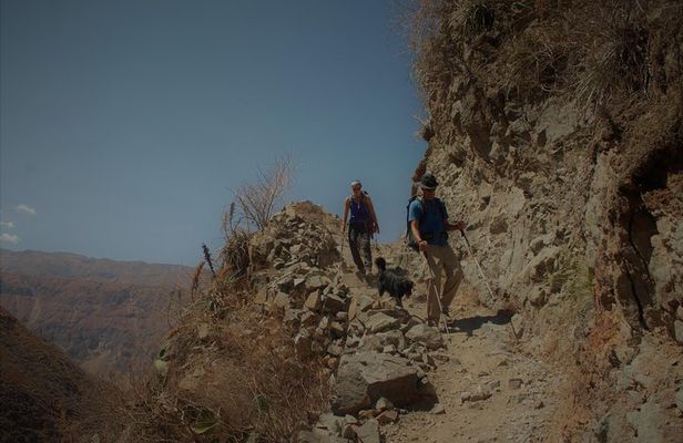 Colca Canyon Trekking - 3 Days