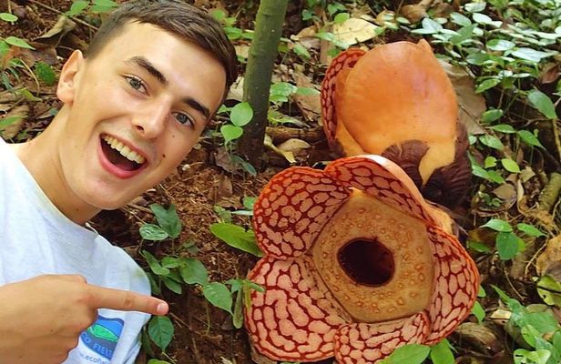 Rafflesia Trek Seekers at Perak (from KL)