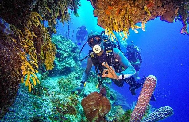 Scuba Diving at Catalina Island - 2 tank | 2 spots