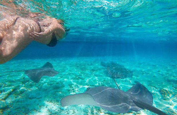 One day Komodo trip with Bintang Komodo Tours