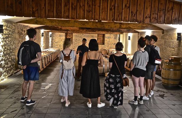 "Explore Saint-Émilion on e-Bikes: Small Group, half-Day Tour"