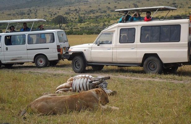 Nairobi park Tour 6.A.M-11.AM