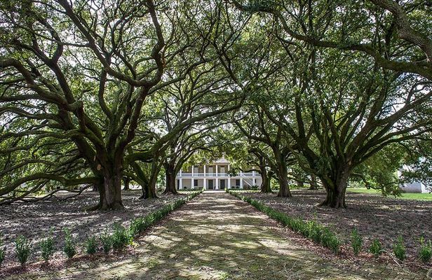 Whitney Plantation Tour with Transportation from New Orleans