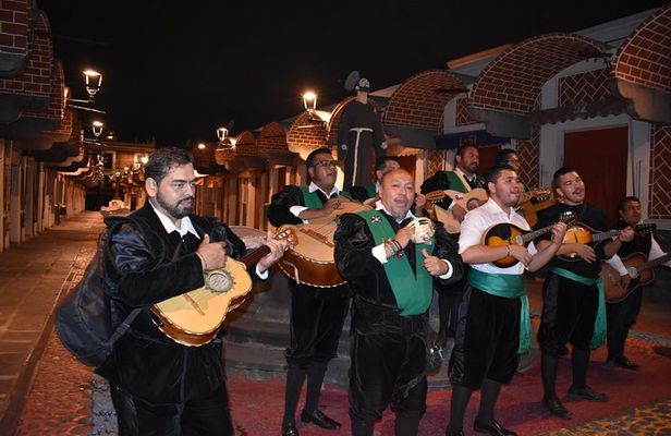 Cantinas tour experience (private tour)