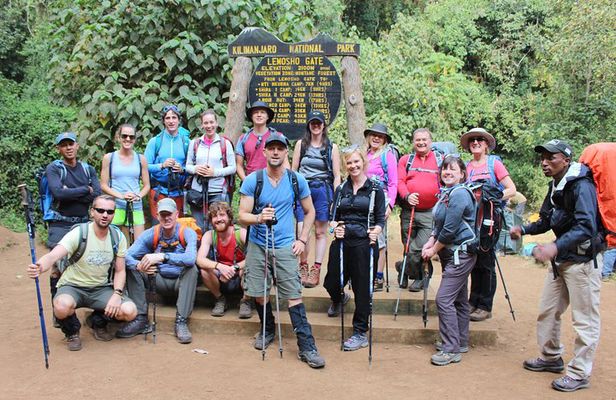 Kilimanjaro Lemosho Route 8 Days