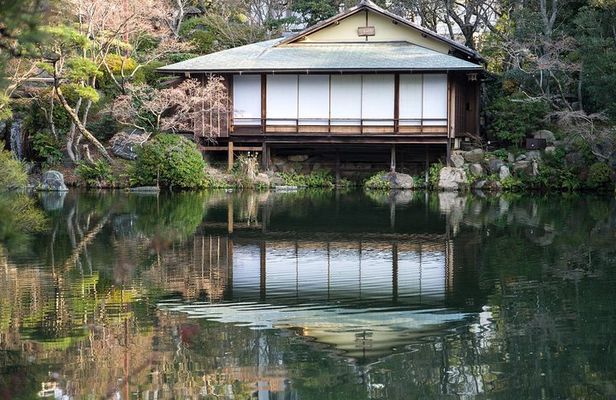 Kobe Half Day Tour with a Local: 100% Personalized & Private 
