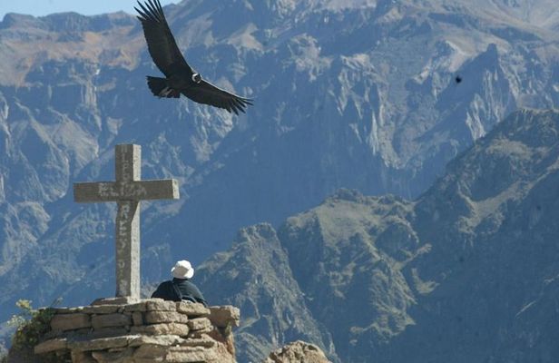 Full day Colca Canyon tour from Arequipa