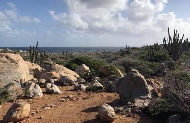 Horseback Riding 2 Hr SUNSET , Rock formation & North Coast Ride