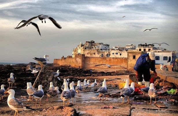 Essaouira fishing Town