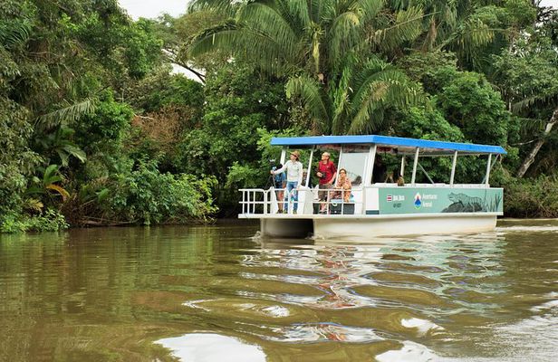 Full-Day Caño Negro Wildlife Refuge Boat Tour
