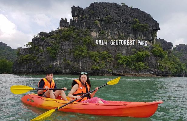 Langkawi Mangrove with Kayaking Experince