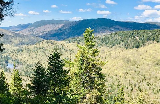 Guided Hike in Jacques-Cartier National Park