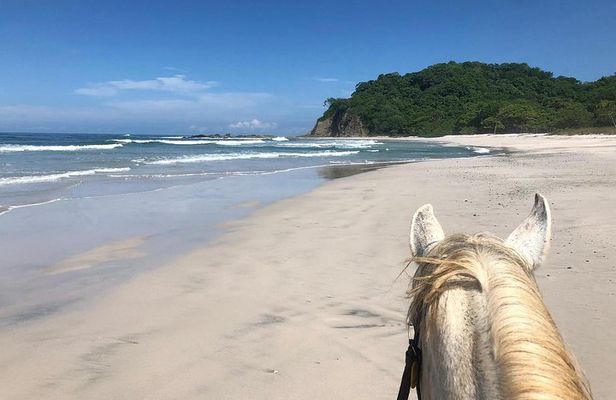 Safari & Barigona Beach on horseback