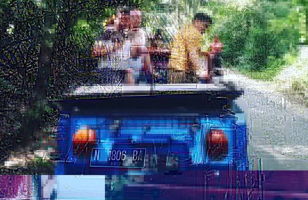 1 Hour VW Explore Ubud - Ubud VW Tour