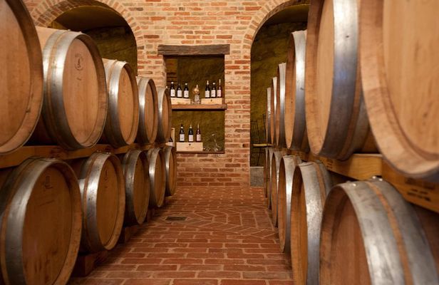 Barolo & CO: visit and tasting