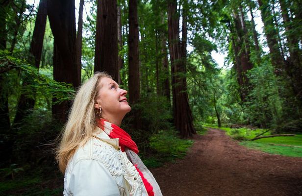 Half-Day Muir Woods & Sausalito Tour with Entry Ticket Included