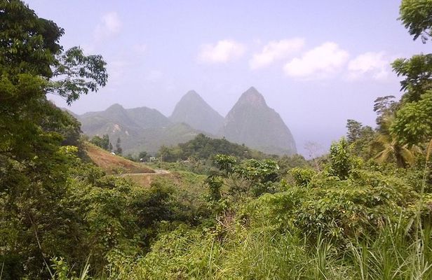 St. Lucia Tet Paul Nature Trail Tour