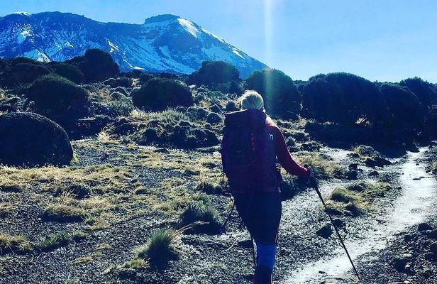 7 Days Mount Kilimanjaro Machame Route