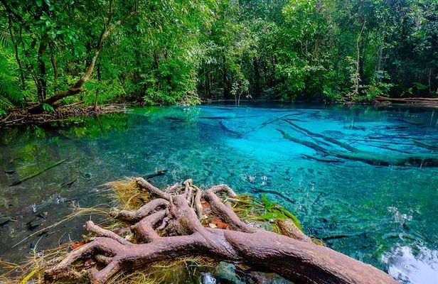 Amazing Full-Day Nature Discovery in Krabi