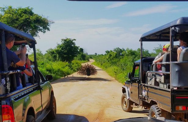 Yala National park with tickets with jeep safari from Hambantota
