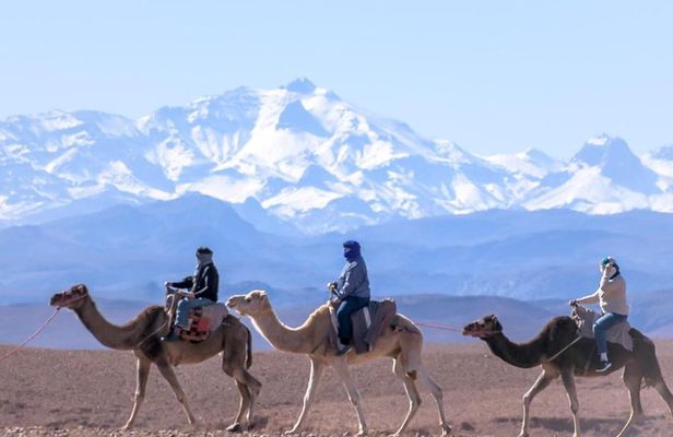 Day Trip:Berber Villages and 4 Valleys Atlas Mountains &Waterfu l& camel Ride