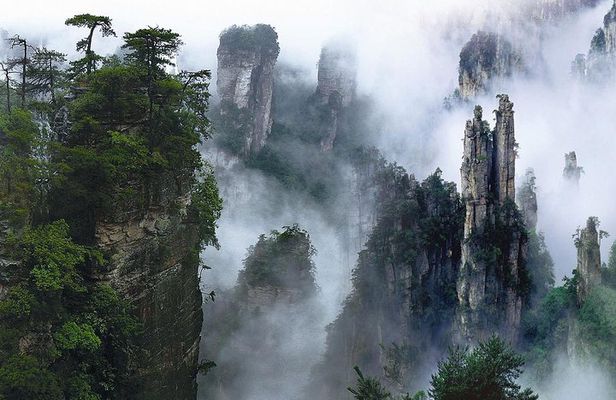 Private Day Trip to Avatar Mountain & Glass Bridge with Lunch