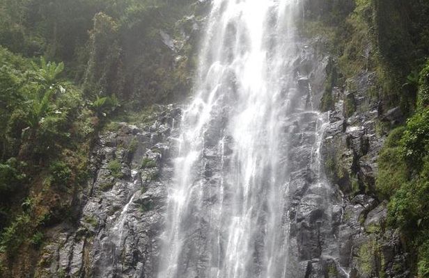 Materuni Waterfalls & Coffee Tour from Moshi